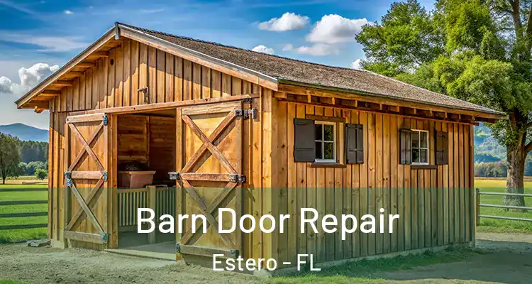  Barn Door Repair Estero - FL