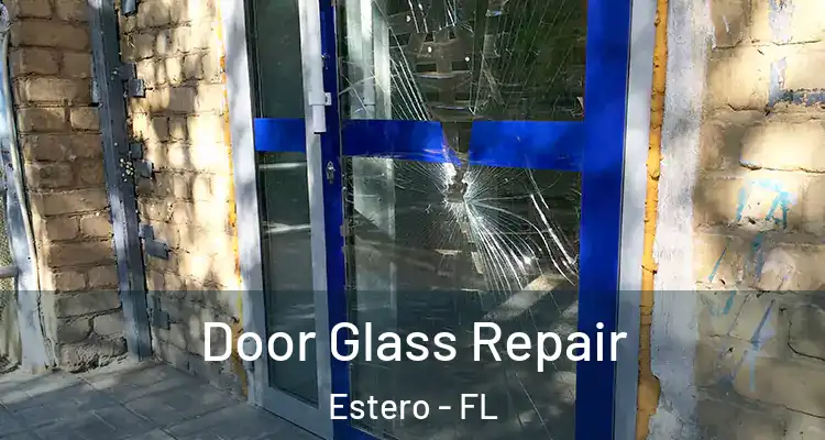  Door Glass Repair Estero - FL