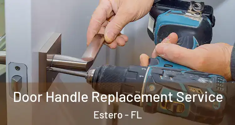  Door Handle Replacement Service Estero - FL