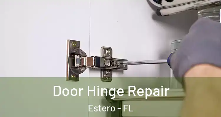  Door Hinge Repair Estero - FL