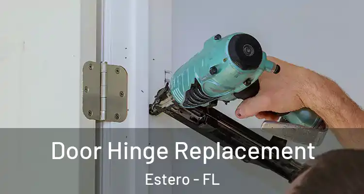  Door Hinge Replacement Estero - FL