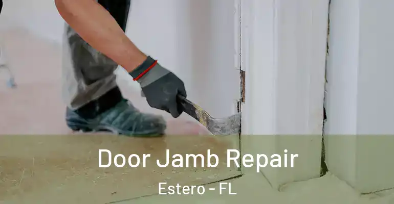  Door Jamb Repair Estero - FL