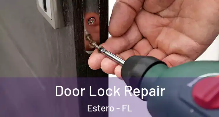  Door Lock Repair Estero - FL