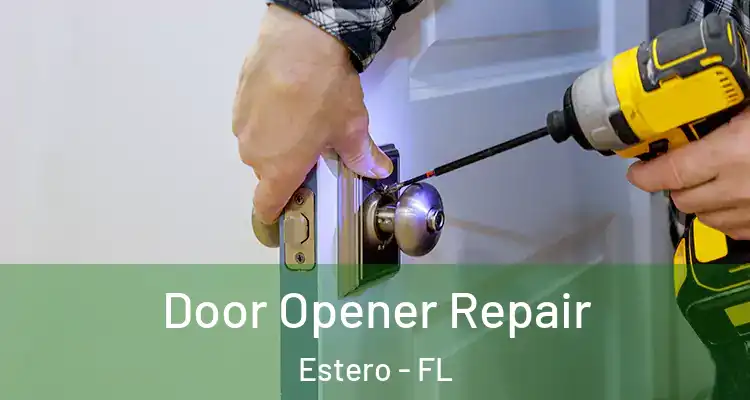  Door Opener Repair Estero - FL