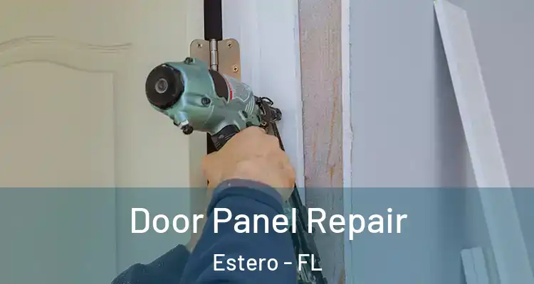  Door Panel Repair Estero - FL