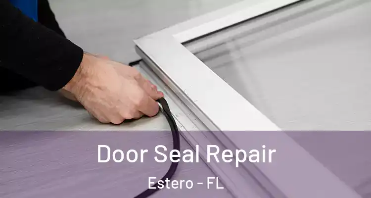  Door Seal Repair Estero - FL