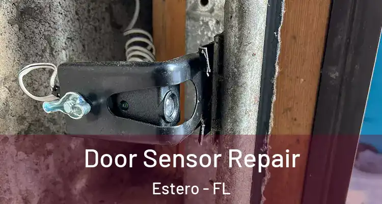  Door Sensor Repair Estero - FL