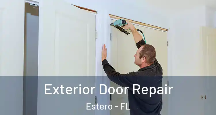  Exterior Door Repair Estero - FL