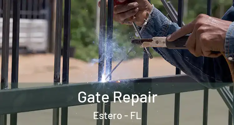  Gate Repair Estero - FL