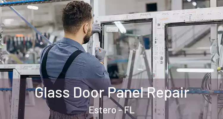  Glass Door Panel Repair Estero - FL