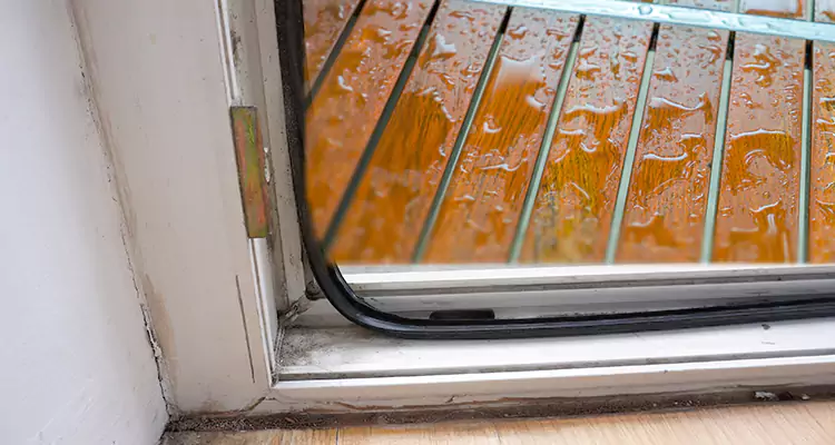 Water Leaking Wooden Patio Doors Repair in Estero, FL