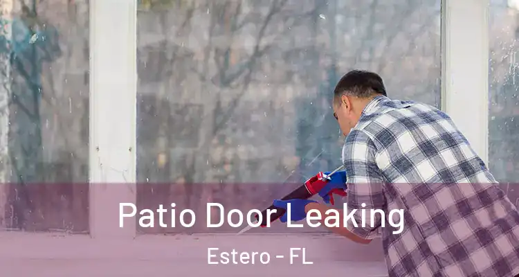  Patio Door Leaking Estero - FL