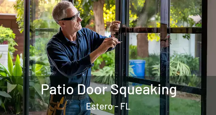  Patio Door Squeaking Estero - FL