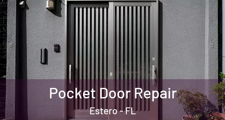  Pocket Door Repair Estero - FL