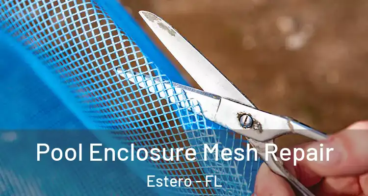  Pool Enclosure Mesh Repair Estero - FL