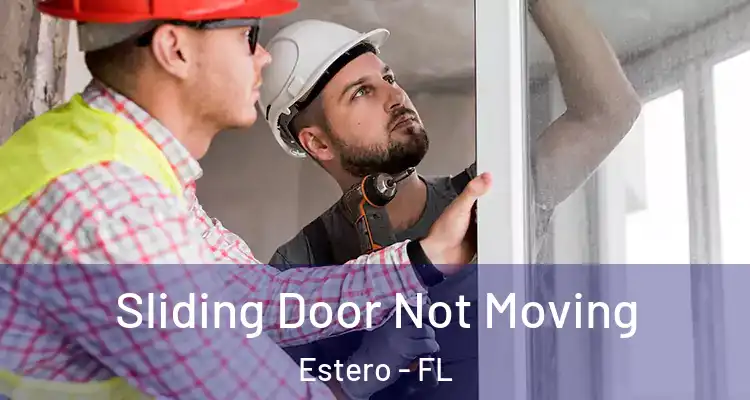  Sliding Door Not Moving Estero - FL