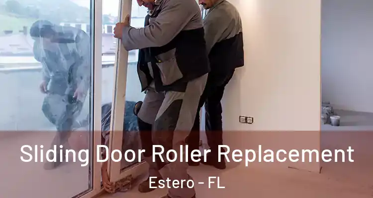  Sliding Door Roller Replacement Estero - FL