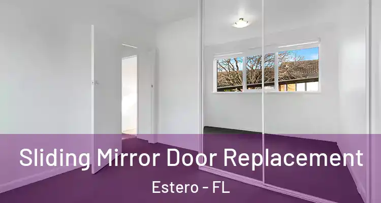  Sliding Mirror Door Replacement Estero - FL