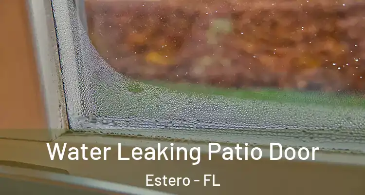  Water Leaking Patio Door Estero - FL