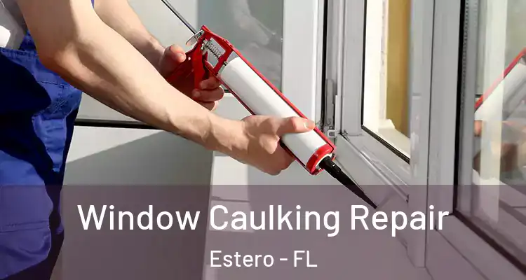  Window Caulking Repair Estero - FL