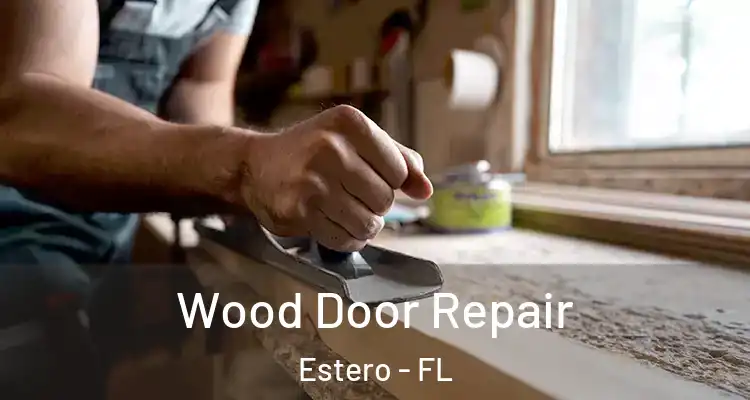  Wood Door Repair Estero - FL
